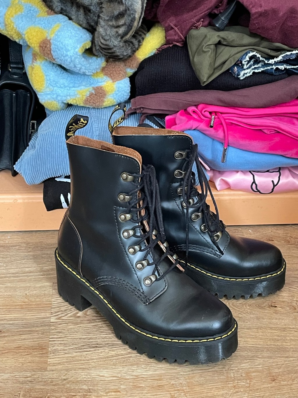 Daily WordPress Post #30 ♡